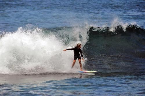蹄声得得踏花香　《猜民国人物》