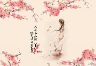 散会《猜一数学词语》