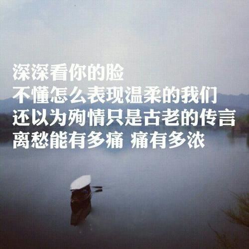 憔悴潘郎鬓有丝 《环保词语一》