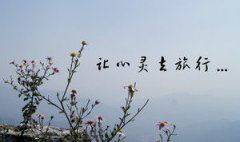 互动周年庆_谜社见成长 《8字俗语半句》