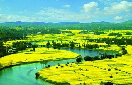 猜谜语题目:春风吹又生《打一个书名》