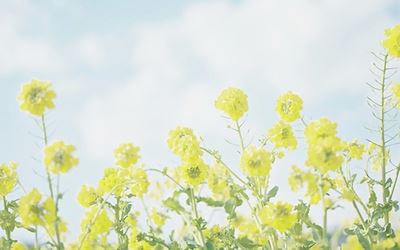 出入赖氏淫窟_尽皆权贵显达 《骊珠》