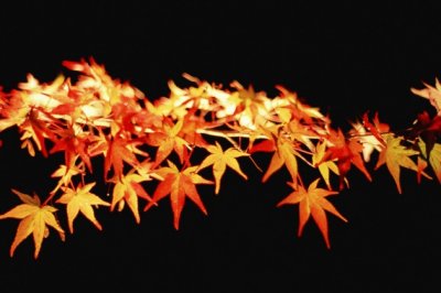 离婚并非老公的错 《4口》