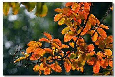 汉上小驻闻书声 《打一字》