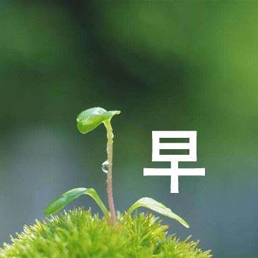 冥冥中三生已定 《吉祥物》