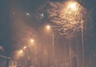 此程两箭遥《猜一数学词语》