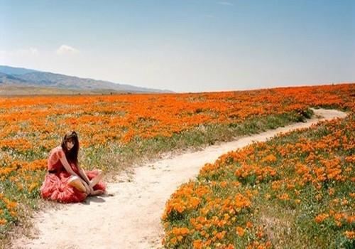 出口牛羊交易后_遂付欠款 《3字奥运会名词》