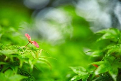 猜谜语题目:女人的胸怀《打一个歌名》
