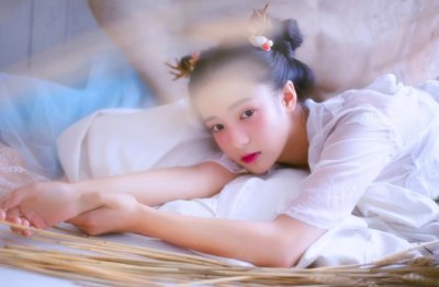 主人做诗效婉约 《范成大词》