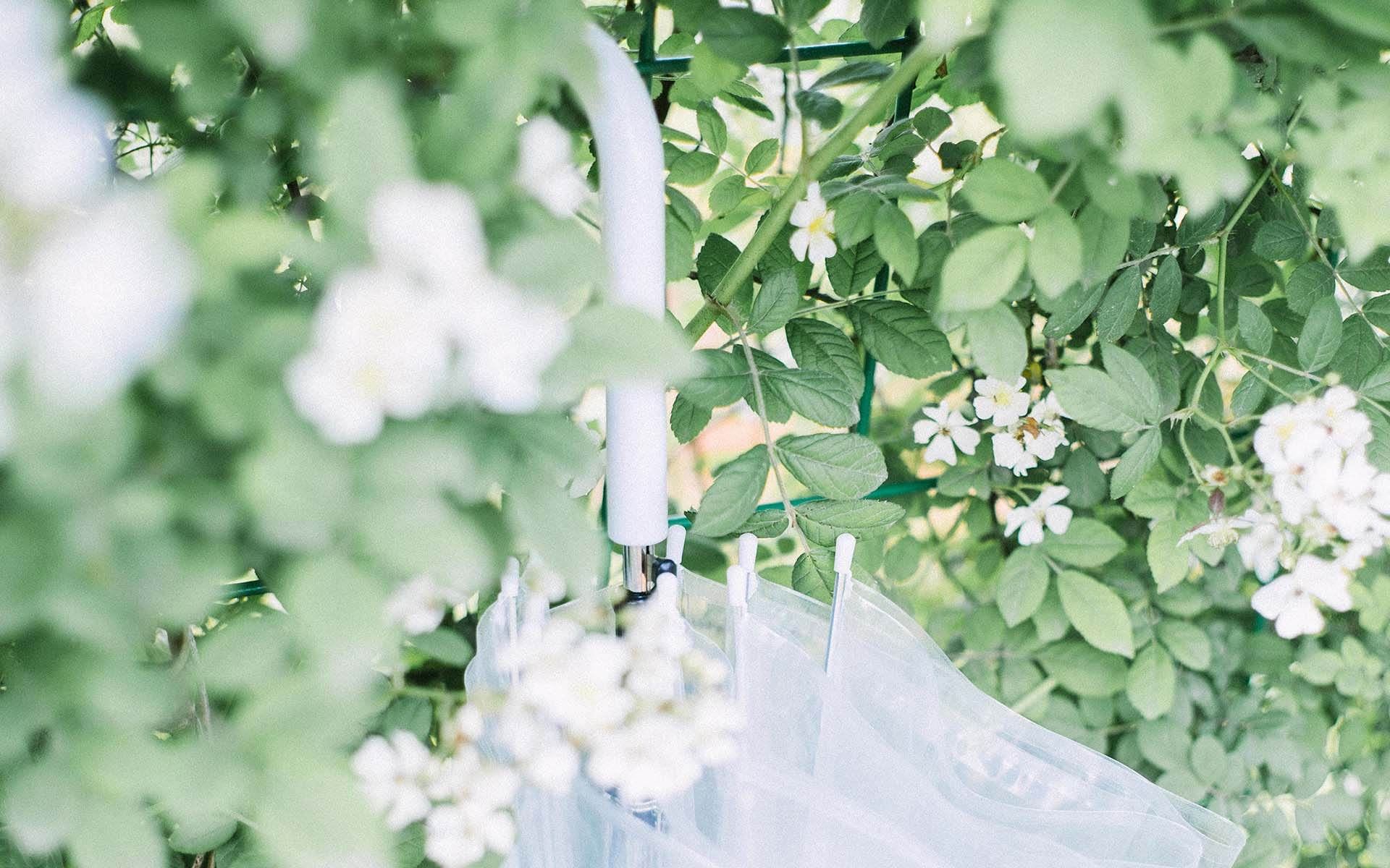 一支香_地里钻-弯身走_不会断-《猜一动物》