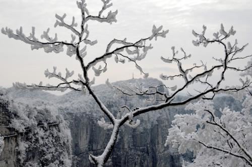 儿童算钱入存单《猜一数学词语》