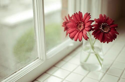 不难分解锦《猜一昆虫》