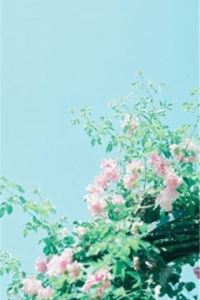 满身青紫为何因 《交通运输词语》