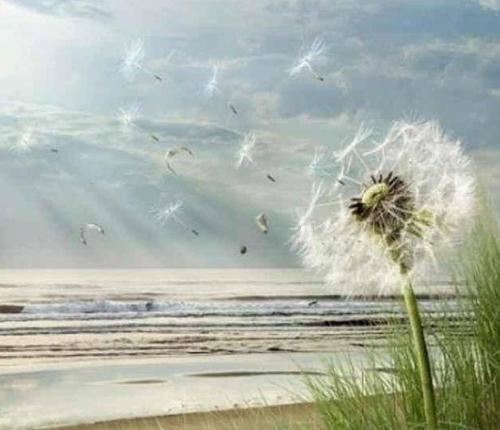 明宇再过体能关_重视三餐须科学 《12字俗语》