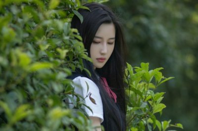 采得残花打半折 《蔬菜》