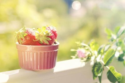 高校最后一年都挺闲的 《四字常言_调首格》