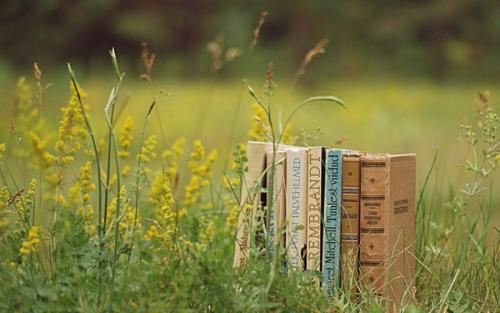 南京至重庆　《猜港台作家》