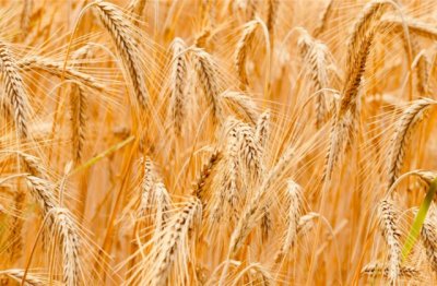 三七分《猜一数学词语》