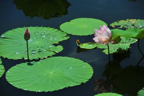 完美身材人人羡,女生爱把它来扮《打一个卡通人物》