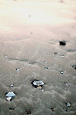 如眉孤月照草亭《猜一字谜》