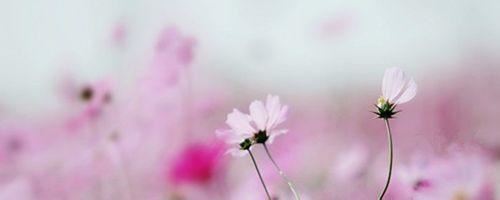 身上一把尺,肚里一条线,夏天线儿长,冬天线儿短《打一个物品》