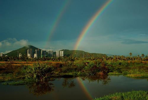 为社稷_温总理韬光养晦 《四字外影目》