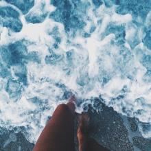 小东西智商高,从小会打洞,白天藏在窝,夜间来活动《打一个动物》