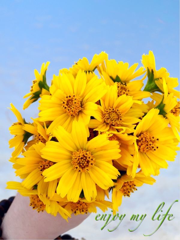 分别向高手求助 《7画字》