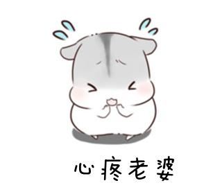 了却情心绝美人《猜一动物名》