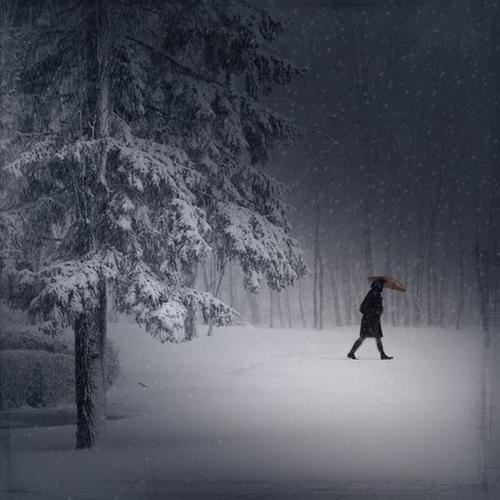 貌似皇上　秋千格《猜木地板商标》