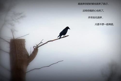 李小二患了不育症 《九画单字》