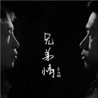 说话浮夸风不正 《名词》