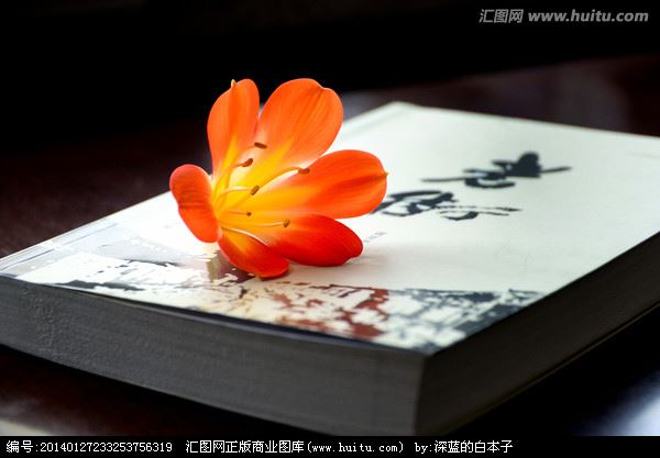 不是金银铁锡 《中药》
