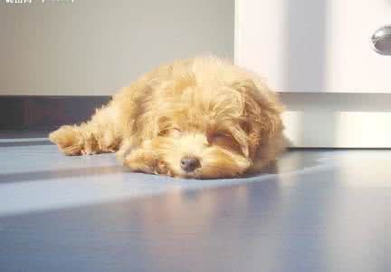 领先带路探源头 《2字聊目》