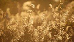 一口三舌_相妨无益《猜一数学词语》