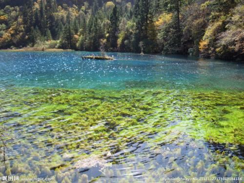 像箭不是箭_总在高处站_身子挺灵活_脑袋随风转-《猜一气象用具》