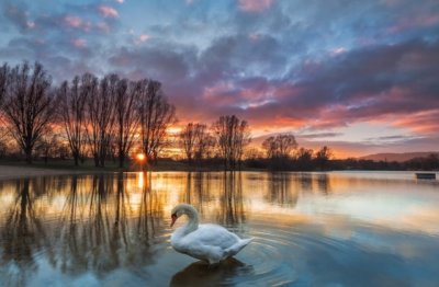 花荣携行李_翻奇山_涉易水 《二字新词》