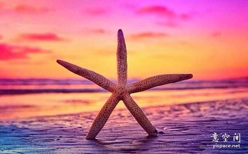 猜谜语题目:挥手告别《打一个字》