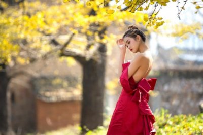 猜谜语题目:但愿百年人不老·卷帘格《打一个植物学词》