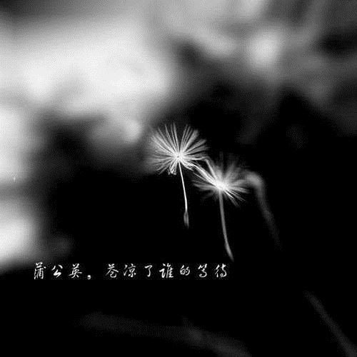 小小家伙本领大,数字再多都会算《打一个物品》
