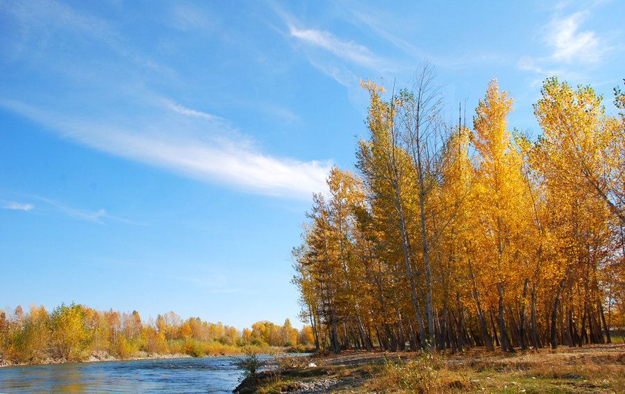 猜谜语题目:原来很牢固《打一个人名》