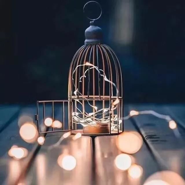 共同富裕年年讲 《骊珠》