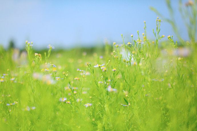 变化无常 《电力词语》