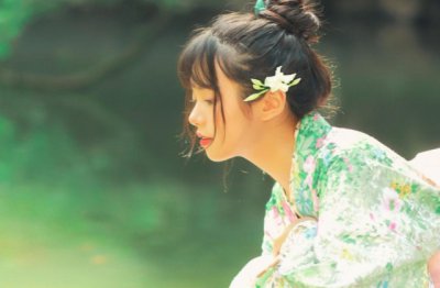 猜谜语题目:岁岁有东风《打一个植物学》