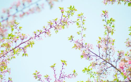 东北抗联 《打一字》
