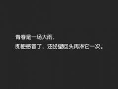 鲜花绽放道两旁 《浦东路名》