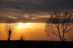 冢前火并_墓上陈尸 《电视用语》