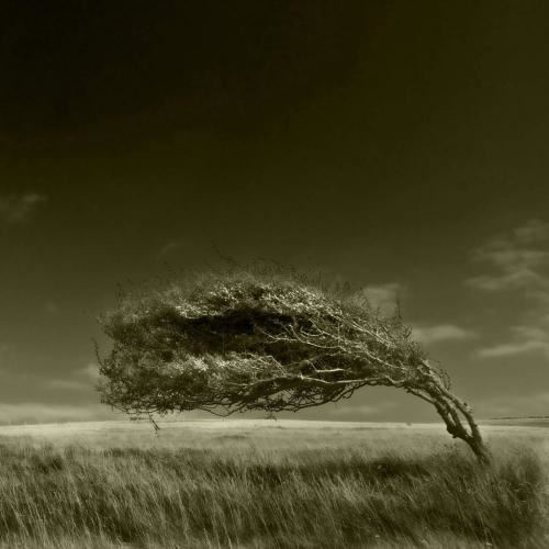 湖东月出秋水清 《十画单字》