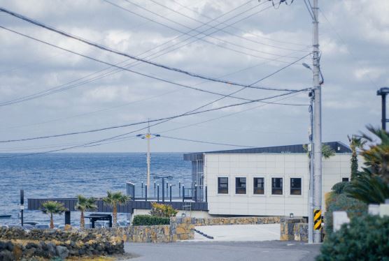 相约入秋结连理　《猜2字视目》