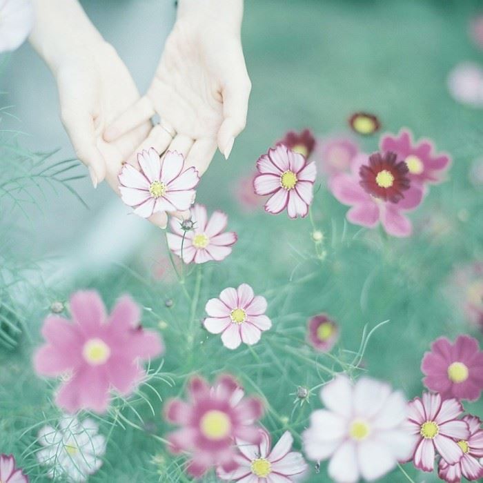 准妈妈欲办婴儿服 《俗语》